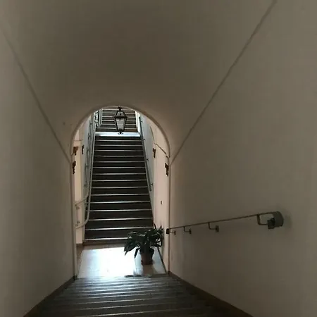 Elena *